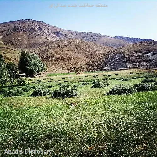 منطقه حفاظت شده عبدالرزاق